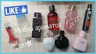 Fragrances of the Week Review 🌷(5)