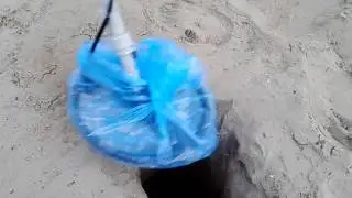 Фортуна-М, 40 см в грунте