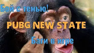 🔴Немного багов Pubg New State 🔴 Бот невидимка в Пубг Ню Стейт