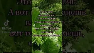 Страх жить.