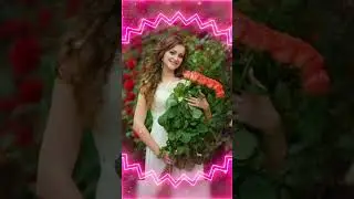 ДОБРЫЙ ВЕЧЕР