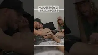 Human Body Vs Bulldog Clips