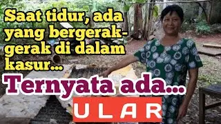 Ada Yang Bergerak Didalam Kasur, Ternyata Ada Ular