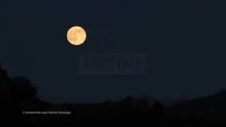 0000193 super moon KINESTOCK