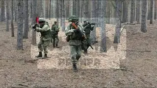 Рапира