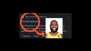 LeBron soundalikes