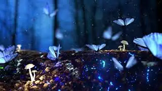 No Copyright Videos -Magic -3D Motion Animated Magical Background Footage 4 Free- No Copyright Zone