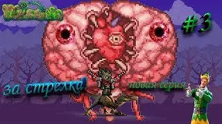 Terraria \Стрелок с другом против мозга ктулху #3