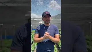 MAYORGA COFFEE’S SEEDLING DONATION TO LA HERMOSA CO-OP, GUATEMALA