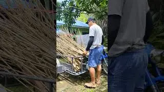 Sarap sa probinsya #provincelife