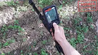 #QuestQ20