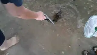 Saltwater Fishing 11-26-11