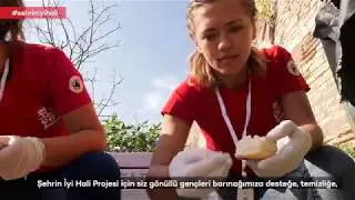 Yedikule Hayvan Barınağı