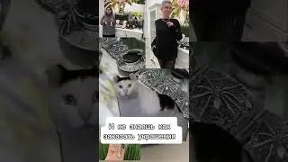 Когда первый раз зашел на канал ФИТ