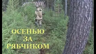 Охота на рябчика с манком