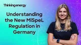 What is Germany's MiSpeL regulation? How to model MiSpeL in 2026