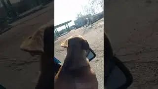 не много позитива
