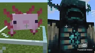 Minecraft Bedrock Edition | 1.17 Concept Addon by Jujustyle7