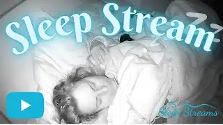 live ASMR Sleep/Snore Stream with Puppies