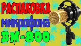 РАСПАКОВКА МИКРОФОНА BM-800 + Тест