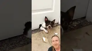 So NAUGHTY but so CUTE! 