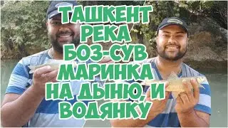 Ташкент река Боз-сув. Маринка клюёт на Дыню, и на Вонянку!