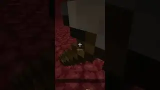 Villager BROKED Minecraft !!!