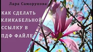 Как сделать кликабельной ссылку в ПДФ файле