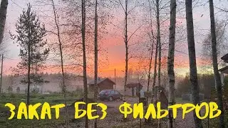 Кроличьи нежности, красивый закат и Ева разговаривает