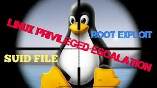 Linux Root Privileged Excalation |  Kernal Exploit | SUID file