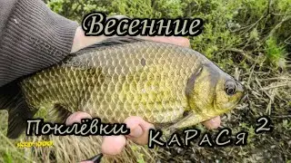 Карась. Весенние Поклёвки Карася 2 (The spring Bite Crucian)