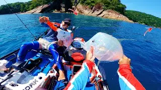 ACHAMOS UM CARDUME DE PEIXE GALO | Pescaria de Caiaque.