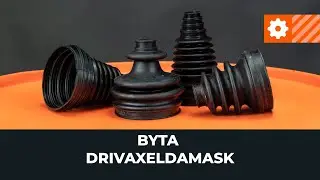 Hur man byter drivknutsdamask [AUTODOC-LEKTION]
