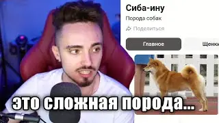 🐶ЭДИСОН ПРО ПОРОДУ СВОЕЙ СОБАКИ