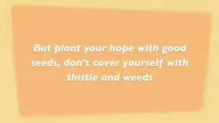 Mumford and Sons - Thistle and weeds