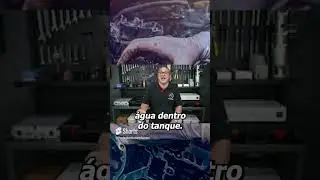 O QUE É IMPORTANTE DENTRO DO SISTEMA ARLA