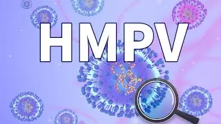 Human Metapneumovirus (hMPV): What You Need to Know