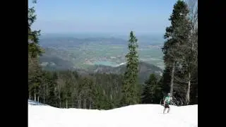 Die Toten Hosen "Steh auf, wenn du am Boden bist"
