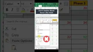 Excel Trick 11:  Delete Blank rows 