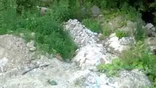 В Ломоносове на водонапорной башне 2
