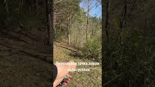 Рыбалка на фидер. Прежде, чем начать. Поиск точки ловли - залог успеха!