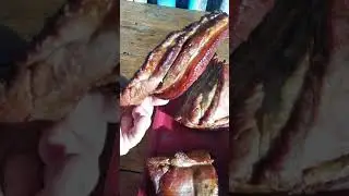 мясо горячего копчения