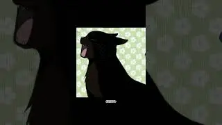 Кот стал похож на хозяйку 