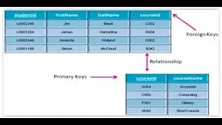 Primary Key and Foreign Key in SQL