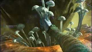 how to gather radar mushrooms!