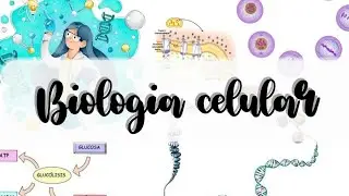 Clase Biología Celular - Sistema de endomembranas I