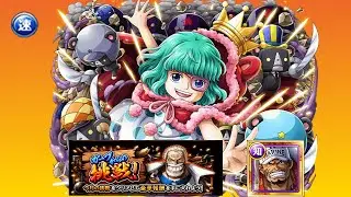 [OPTC] Garp Challenge Navy - QCK