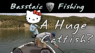 A Giant .. Cat?  Castaic Lake Bass Fishing