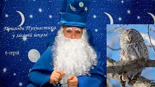 Пригоди Пухнастика в лісовій школі - 6 серія - Чарівник-Казкар