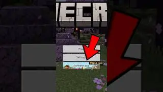 Using The Minecraft Marketplace!!! 